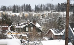 Botanic garden not deterred by wintry weather, weekend snowfall